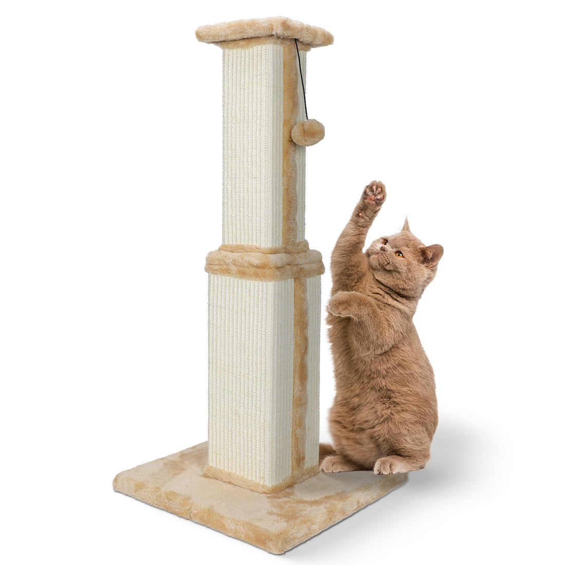 Cat Scratching Post, Square Post Solide with Hanging Ball, Rice Yellow